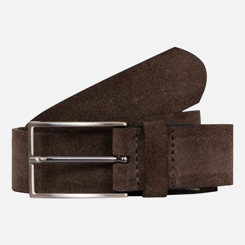 Cinto Camurça Café 26v08686